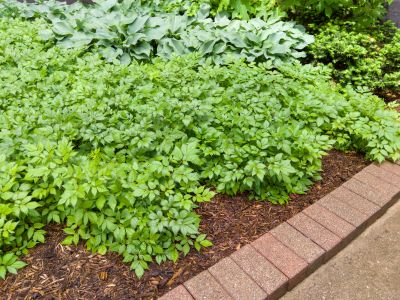 Brick Hardscaping in Worcester, MA